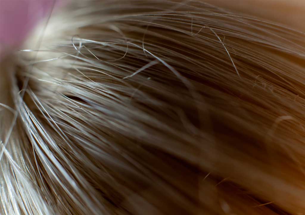 Storage Solutions to Keep Wigs Looking Fresh Between Uses