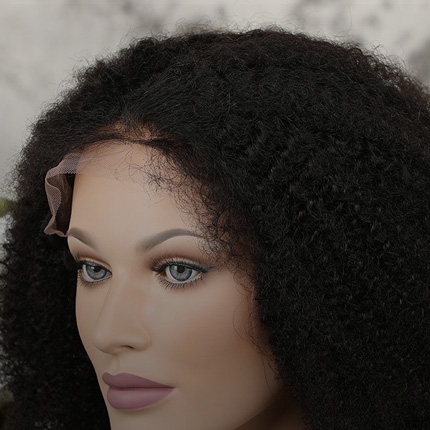 Human Hair Wigs